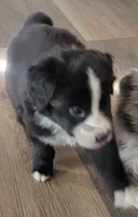 processed/8524d21c-1d6a-4ccd-a3c9-40d7e53756de/listing/9a5f06b9-1bd9-4f5d-a2a4-f939bc6604de/e2063ff9-81f9-4d8f-ab18-f60c5d510426