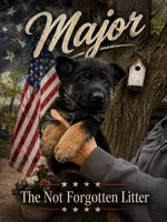 Major, a male German Shepherd Dog for sale in Fort Wayne, IN – 1 of 8