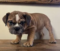 processed/85376ef9-f9d2-44fd-85a5-e7d8017d663c/listing/11501b5c-887c-4632-9543-32c335810b26/02f9dee0-c367-4ae5-a44e-2798b00934d1