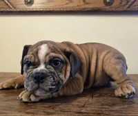 processed/85376ef9-f9d2-44fd-85a5-e7d8017d663c/listing/11501b5c-887c-4632-9543-32c335810b26/519e7b38-77de-4895-b98f-1a44ec13f713