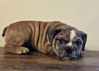 processed/85376ef9-f9d2-44fd-85a5-e7d8017d663c/listing/11501b5c-887c-4632-9543-32c335810b26/58d54c9a-7a13-4f0d-a95c-6141088149f4