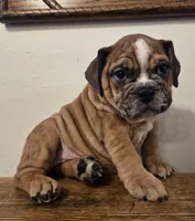 processed/85376ef9-f9d2-44fd-85a5-e7d8017d663c/listing/11501b5c-887c-4632-9543-32c335810b26/a79f8365-4439-4750-a9f4-d52baba4b3e2