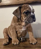 processed/85376ef9-f9d2-44fd-85a5-e7d8017d663c/listing/11501b5c-887c-4632-9543-32c335810b26/d44da8d4-167e-4373-a9ee-b477a81944ab