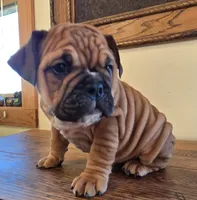 processed/85376ef9-f9d2-44fd-85a5-e7d8017d663c/listing/22b0437d-8925-4189-9040-2883325434ab/64f98c2e-80ab-4265-94cd-e85335105289