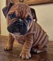 processed/85376ef9-f9d2-44fd-85a5-e7d8017d663c/listing/22b0437d-8925-4189-9040-2883325434ab/6f4965b5-969b-427d-9dbe-406376ec417c