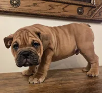 processed/85376ef9-f9d2-44fd-85a5-e7d8017d663c/listing/4d55da73-1ee1-4586-97c3-a2ffa366b254/5b77a819-851e-4c94-80c1-d1da986bbe90