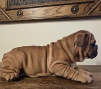 processed/85376ef9-f9d2-44fd-85a5-e7d8017d663c/listing/4d55da73-1ee1-4586-97c3-a2ffa366b254/9e735775-37b4-4249-9f4b-cb31b4d34337