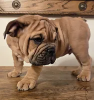 processed/85376ef9-f9d2-44fd-85a5-e7d8017d663c/listing/4d55da73-1ee1-4586-97c3-a2ffa366b254/be3a820d-97e7-48a5-9508-b42be89cf55f