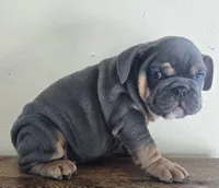 processed/85376ef9-f9d2-44fd-85a5-e7d8017d663c/listing/8d8e5641-4ad0-4f85-87e2-5374a5325185/01faeaf4-f1a8-4f86-8fc3-772d01df6a9b