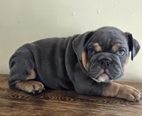 processed/85376ef9-f9d2-44fd-85a5-e7d8017d663c/listing/8d8e5641-4ad0-4f85-87e2-5374a5325185/1be44751-8d2f-4817-bc86-3e12b8f8966d