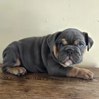 processed/85376ef9-f9d2-44fd-85a5-e7d8017d663c/listing/8d8e5641-4ad0-4f85-87e2-5374a5325185/5cf4694b-1b91-4af0-8ea6-eb83439c031f