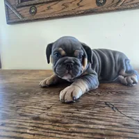 processed/85376ef9-f9d2-44fd-85a5-e7d8017d663c/listing/8d8e5641-4ad0-4f85-87e2-5374a5325185/67937b75-32a6-476c-bec1-2af9681918ea