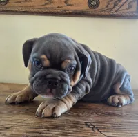 processed/85376ef9-f9d2-44fd-85a5-e7d8017d663c/listing/8d8e5641-4ad0-4f85-87e2-5374a5325185/853ed130-0c71-44e7-85e3-01efd6d70079