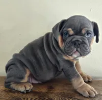 processed/85376ef9-f9d2-44fd-85a5-e7d8017d663c/listing/8d8e5641-4ad0-4f85-87e2-5374a5325185/a315d3d9-bc0c-4741-b111-555abd434170