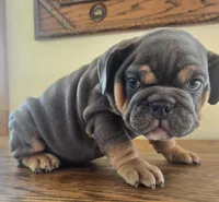 processed/85376ef9-f9d2-44fd-85a5-e7d8017d663c/listing/8d8e5641-4ad0-4f85-87e2-5374a5325185/aae67a1a-bdfa-46df-9b01-3c3f8d89222c