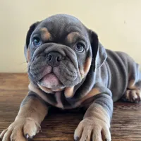 processed/85376ef9-f9d2-44fd-85a5-e7d8017d663c/listing/8d8e5641-4ad0-4f85-87e2-5374a5325185/f0224e37-fe1f-4526-a30c-db0965b07ad7