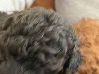 processed/85431d75-ad88-4962-ba47-fb4e025e39a8/listing/16b89462-86a9-42ad-bb1c-24a2295d57b7/2314b84b-6039-4c5d-9934-d5f793f36bcf