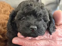 processed/85431d75-ad88-4962-ba47-fb4e025e39a8/listing/16b89462-86a9-42ad-bb1c-24a2295d57b7/2ac2a0c1-909d-4aba-bfdb-196ed577bb1b