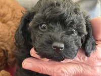 processed/85431d75-ad88-4962-ba47-fb4e025e39a8/listing/16b89462-86a9-42ad-bb1c-24a2295d57b7/445786a7-a445-4ce2-8d47-b4d1ed54d77a