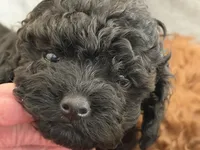 processed/85431d75-ad88-4962-ba47-fb4e025e39a8/listing/16b89462-86a9-42ad-bb1c-24a2295d57b7/6a003bee-0d44-447a-9fc4-50375366682f