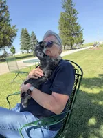 Con, a male Miniature Schnauzer for sale in Melcher-Dallas, IA – 2 of 6
