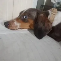 processed/85433ce2-3506-469c-914b-0ab42d50769f/facility/14da6d80-d46c-42aa-b0b4-914bd5babdaa