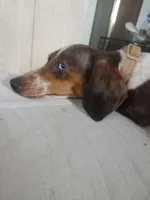 processed/85433ce2-3506-469c-914b-0ab42d50769f/facility/14da6d80-d46c-42aa-b0b4-914bd5babdaa