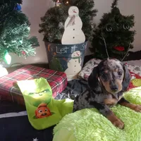 processed/85433ce2-3506-469c-914b-0ab42d50769f/facility/2ae15e79-6edc-4e42-9419-d7965c39c717