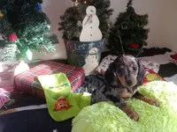 processed/85433ce2-3506-469c-914b-0ab42d50769f/facility/2ae15e79-6edc-4e42-9419-d7965c39c717