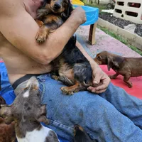 processed/85433ce2-3506-469c-914b-0ab42d50769f/facility/544aff3d-462a-4269-9af6-615182323b57