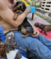 processed/85433ce2-3506-469c-914b-0ab42d50769f/facility/544aff3d-462a-4269-9af6-615182323b57