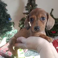 processed/85433ce2-3506-469c-914b-0ab42d50769f/facility/5ea6f5b9-bedd-46a8-80e1-fafcf7d7086a