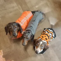 processed/85433ce2-3506-469c-914b-0ab42d50769f/facility/6497e4d8-28d3-4685-8ecd-db80a5c30e08