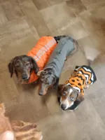 processed/85433ce2-3506-469c-914b-0ab42d50769f/facility/6497e4d8-28d3-4685-8ecd-db80a5c30e08