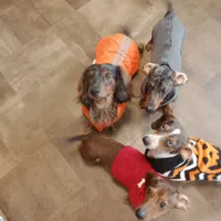 processed/85433ce2-3506-469c-914b-0ab42d50769f/facility/66faa202-a27e-4857-a96a-3dd36390e224