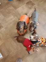 processed/85433ce2-3506-469c-914b-0ab42d50769f/facility/66faa202-a27e-4857-a96a-3dd36390e224