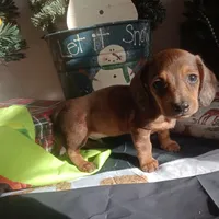 processed/85433ce2-3506-469c-914b-0ab42d50769f/facility/7c4f8de4-3bdc-48ee-8bb9-38f9e9c7f278