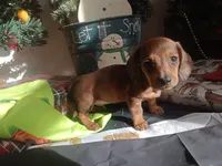 processed/85433ce2-3506-469c-914b-0ab42d50769f/facility/7c4f8de4-3bdc-48ee-8bb9-38f9e9c7f278