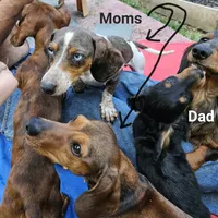 processed/85433ce2-3506-469c-914b-0ab42d50769f/facility/8f6b64a9-3e0d-488b-8ac8-cfeaba96bdf6