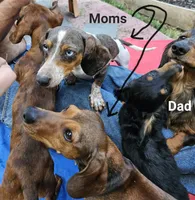 processed/85433ce2-3506-469c-914b-0ab42d50769f/facility/8f6b64a9-3e0d-488b-8ac8-cfeaba96bdf6