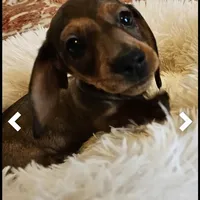 processed/85433ce2-3506-469c-914b-0ab42d50769f/facility/a1362a11-f7d0-4bd1-ae62-8765c9c7b06f