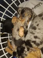 processed/85433ce2-3506-469c-914b-0ab42d50769f/facility/e115a4a4-b0ce-4cd2-84f1-c251e9f3c6e3