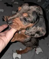 processed/85433ce2-3506-469c-914b-0ab42d50769f/listing/5481a062-e512-4d6d-8dc8-3185338147f2/1d6a8c46-9413-4bee-b740-38a0fd06a6f0