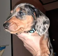 processed/85433ce2-3506-469c-914b-0ab42d50769f/listing/5481a062-e512-4d6d-8dc8-3185338147f2/2c9b9d7e-f8f4-4fbb-9749-4112d4561d56