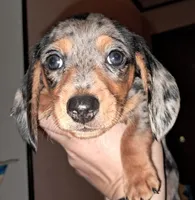 processed/85433ce2-3506-469c-914b-0ab42d50769f/listing/5481a062-e512-4d6d-8dc8-3185338147f2/e7a533cd-18b9-43a0-9e3b-26619e127e21