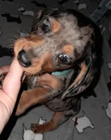 processed/85433ce2-3506-469c-914b-0ab42d50769f/listing/5481a062-e512-4d6d-8dc8-3185338147f2/f057dd39-ad98-43ab-8f80-3f111d40cd0a