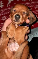 processed/85433ce2-3506-469c-914b-0ab42d50769f/listing/ae768ae5-2002-49ab-821b-0e02d0895acd/300d0a61-92b4-4eb7-929d-53aa6c68b5f3