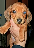 processed/85433ce2-3506-469c-914b-0ab42d50769f/listing/ae768ae5-2002-49ab-821b-0e02d0895acd/b467d500-c560-4279-a287-6909fc450291