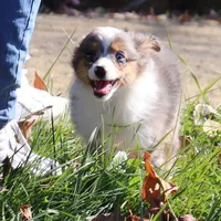 processed/85463533-51b4-46bc-8cfb-b0e505e776ad/facility/94ed5d8e-a9cb-4ef3-a021-aa5ed1d2462a