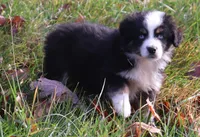 processed/85463533-51b4-46bc-8cfb-b0e505e776ad/listing/bb98c25d-3dd0-4cb6-8a8c-0f6216a18970/78015df0-9e7f-4842-951f-08d8b226db50